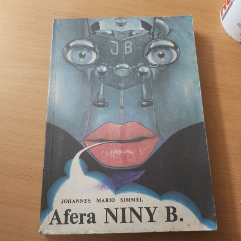 Afera Niny B.