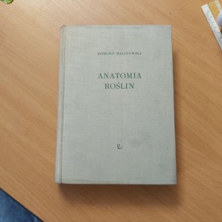 Anatomia roślin