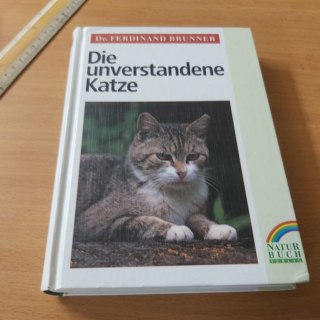 Die unverstandene Katze