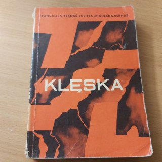 Klęska