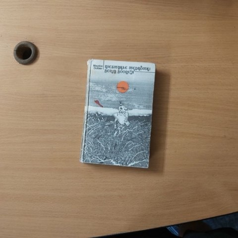 Niezwykłe wędrówki Benjy Boonea