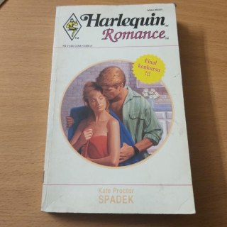 Spadek romans