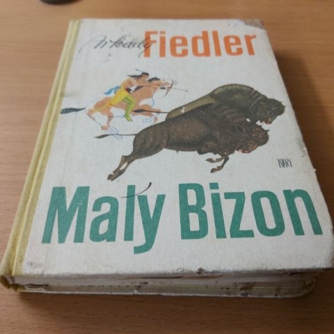 Mały Bizon Fiedlera