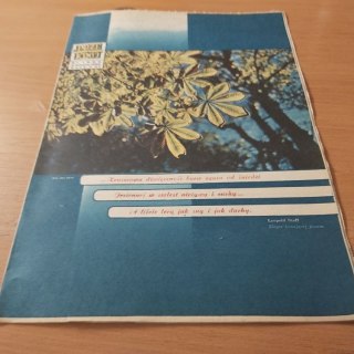 Przekrój nr 1856 z 2 listopada 1980 roku.