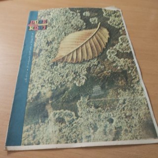 Przekrój nr 1954 z 21 listopada 1982 roku.