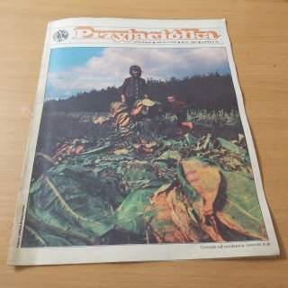 Przyjaciółka tygodnik nr 43 22.X. 1981 rok