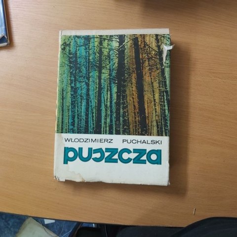 Puszcza zdjęcia opisy