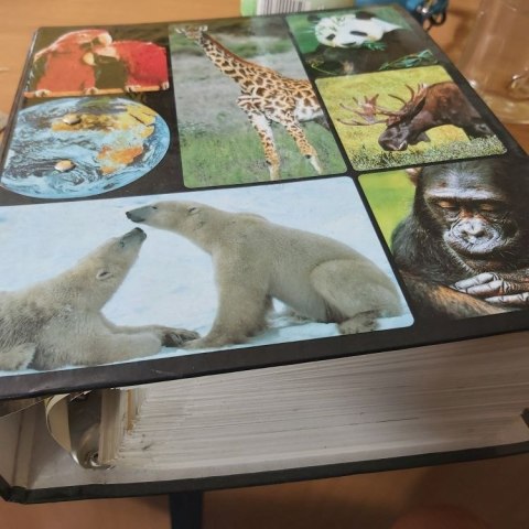 Encyklopedia Zwierząt od A do Z