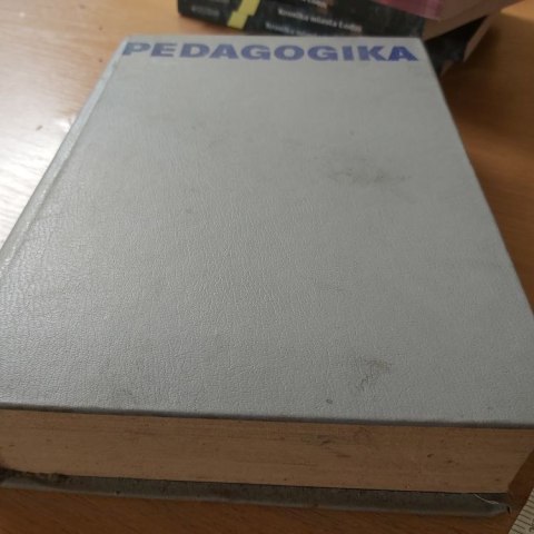 Pedagogika podręcznik akademicki