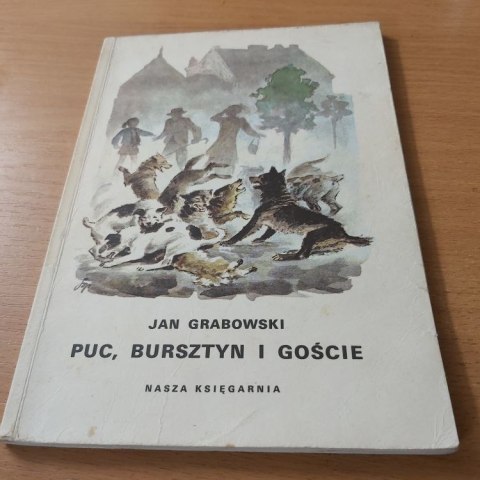 Puc , Bursztyn i Goście
