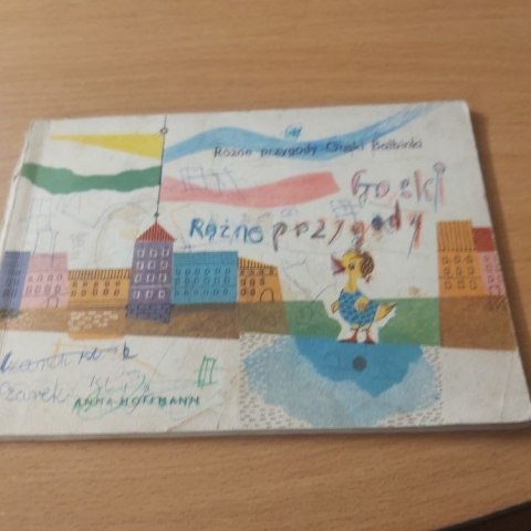 Różne Przygody Gąski Balbinki