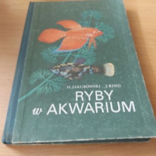 Ryby w Akwarium