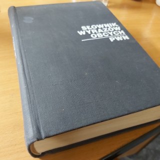 Słownik Wyrazów obcych PWN wyd. 1972 rok.