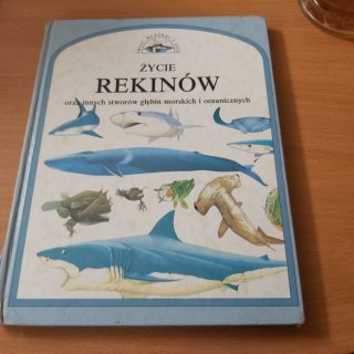 Życie rekinów oraz innych stworów głębin morskich i oceanów