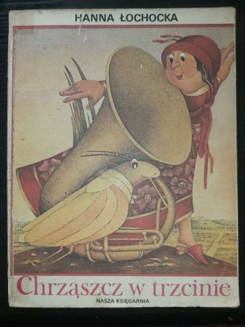 Chrząszcz w trzcinie