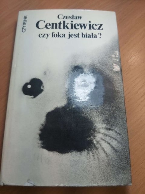 Czy foka jest biała? Czy foka jest biała?
