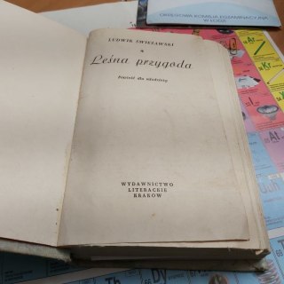 Leśna przygoda Powieść dla młodzieży