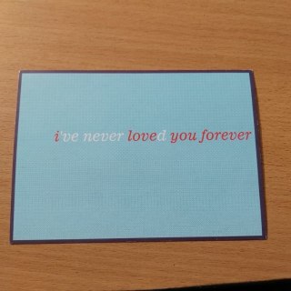 Pocztówka - ive never loved you forever