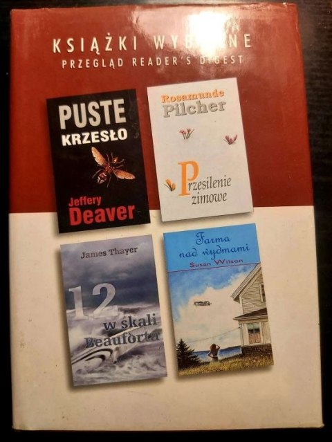 Puste krzesło, Przesilenie zimowe, 12 w skali Beauforta, Forma nad wydmami