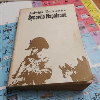 Synowie Napoleona TOM 1 z 2 Książę Reichstadtu - Napoleon II