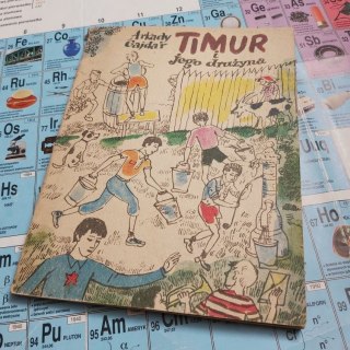 Timur i jego drużyna