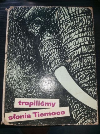 Tropiliśmy słonia Tiemoco