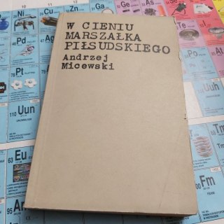 W cieniu Marszałka Piłsudskiego