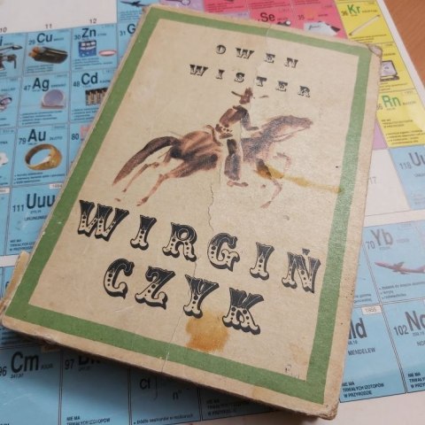 Wirgińczyk Jeździec z równin