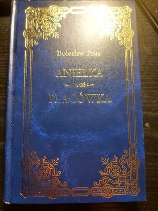 Anielka, Placówka