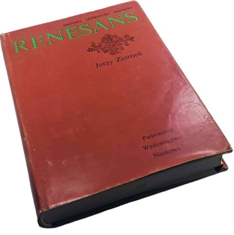 RENESANS
