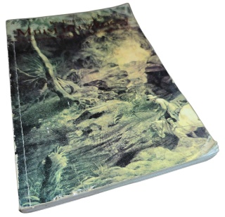 MNISI IROSZKOCCY. ŚW. KOLUMBAN MŁODSZY. EWANGELIZACJA EUROPY ks. Eugeniusz Derdziuk